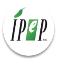 IPEP